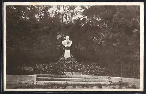 AK Wien, Rudolfinerhaus, Billrothstrasse 78, Billrothbüste