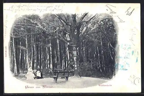 AK Wien, Mauer, Sitzbänke an der Waldandacht