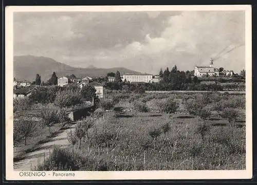 AK Orsenigo, Panorama