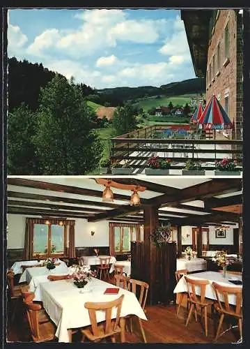 AK Biederbach / Schwarzwald, Gasthaus und Pension zum Pflug