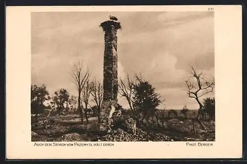 AK Przemysl, Storchennest auf einem Schornstein