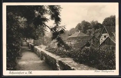 AK Schweinfurt a. M., Alter Stadtgraben