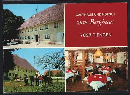 AK Tiengen / Waldshut, Gasthaus und Hofgut zum Berghaus