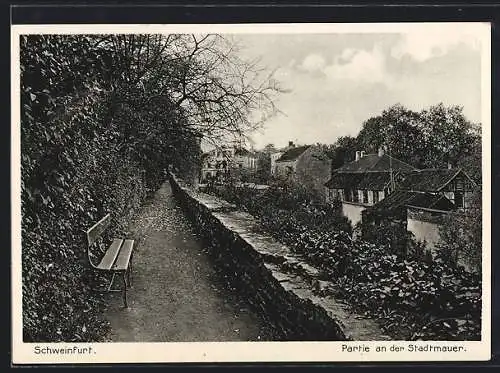 AK Schweinfurt, Partie an der Stadtmauer