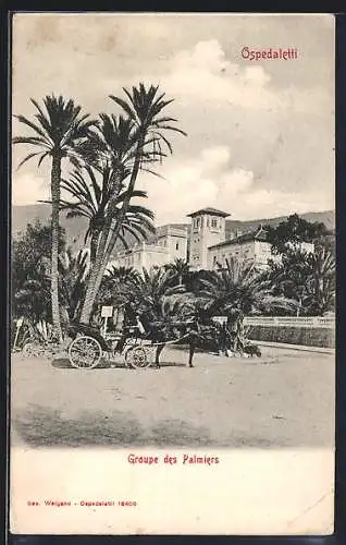 AK Ospedaletti, Groupe des Palmiers