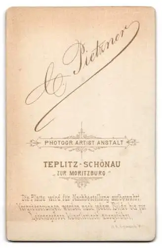 Fotografie C. Pietzner, Teplitz-Schönau, Zur Moritzburg, Junge Dame in tailliertem Kleid mit gemme