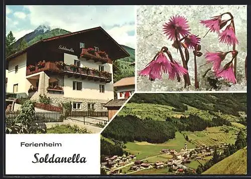 AK St. Johann im Ahrntal, Ferienheim Soldanella, Bes. Albert Auer