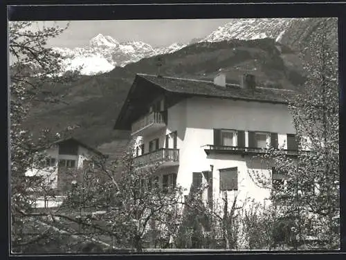 AK Algund b. Meran, Pension Rosenheim