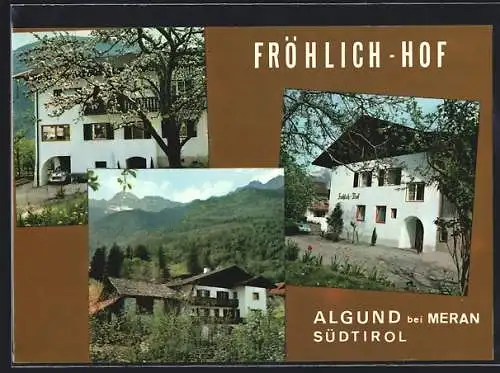 AK Algund b. Meran, Fröhlich-Hof, Bes. Fam. Pichler