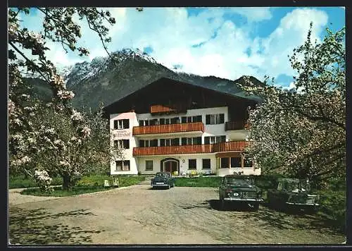 AK Algund bei Meran, Pension Wiesenhof