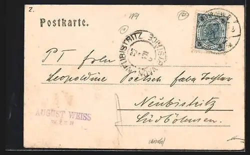 AK Wien, Karlskirche mit Strassenpartie