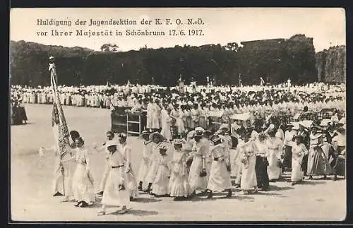 AK Schönbrunn, Huldigung der Jugendsektion der K.F.O. N.Ö. vor Ihrer Majestät 17.06.1917
