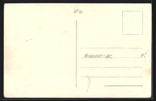 AK Schönbrunn, Huldigung der Jugendsektion der K.F.O. N.Ö. vor Ihrer Majestät 17.06.1917