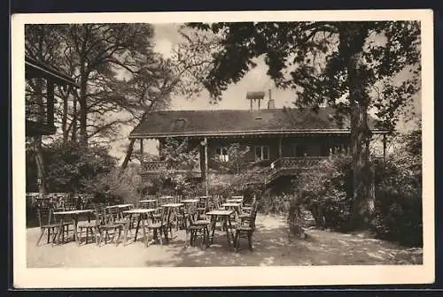 AK Wien-Schönbrunn, Partie im Schlosspark