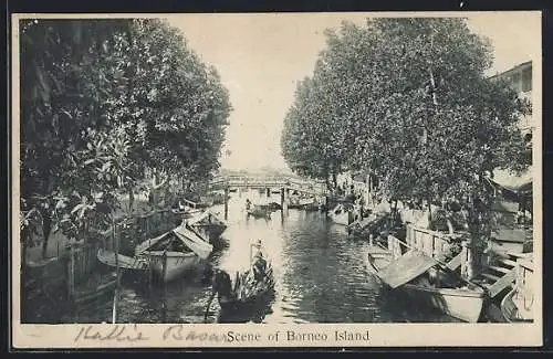 AK Borneo Island, Scene