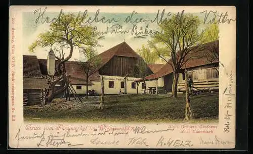 AK Tulbing, Gasthaus Passauerhof im Wienerwald