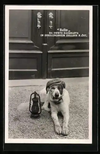 AK Vermenschlichte Tiere, Hund Bello der zweite Hausmeister im Erholungsheim Zeillern