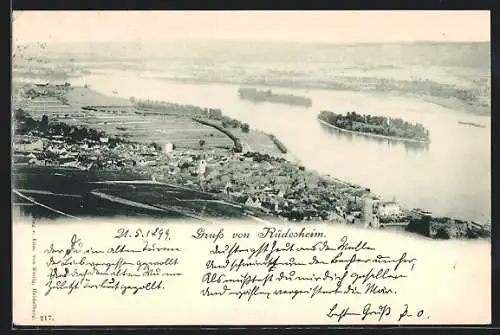 AK Rüdesheim / Rhein, Ortsansicht aus der Vogelschau