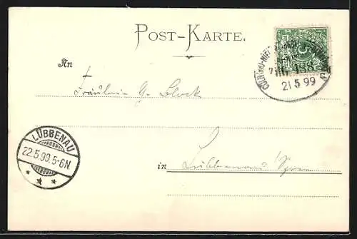 AK Rüdesheim / Rhein, Panorama mit Dampfer