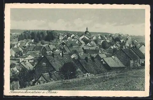 AK Benneckenstein i. Harz, Blick über die Dächer