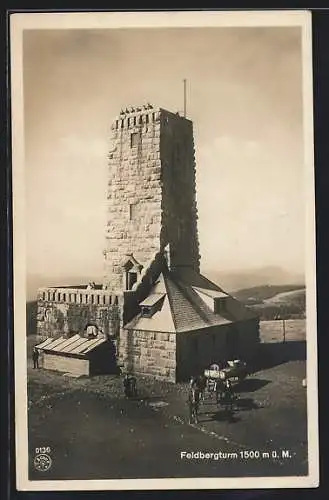 AK Feldberg / Schwarzwald, Feldbergturm mit Pferdegespann