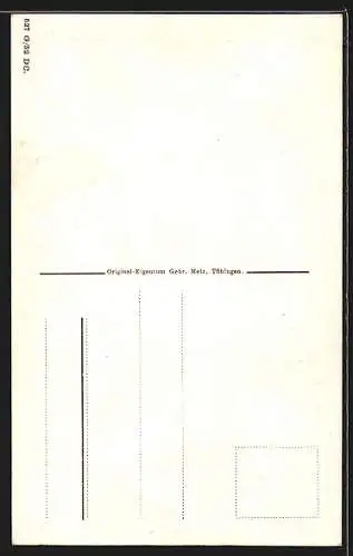 AK Forbach, Murgwerk, Druckrohrleitung