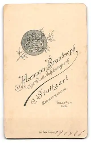 Fotografie Hermann Brandseph, Stuttgart, Marienstrasse 36, Junger Mann in Anzug und weisser Krawatte