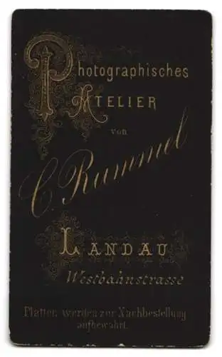 Fotografie C. Rummel, Landau, Westbahnstrasse, Elegante Dame mit Halskette und Spitzenkragen