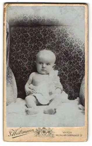 Fotografie S. Weitzmann, Wien, Calvarienberggasse 37, Niedliches Kleinkind auf gemustertem Sessel