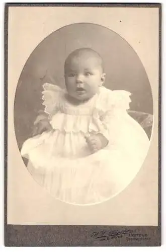 Fotografie H. W. Schüpphaus, Cottbus, Gymnasialstr. 3, Süsses Kleinkind im weissen Kleid
