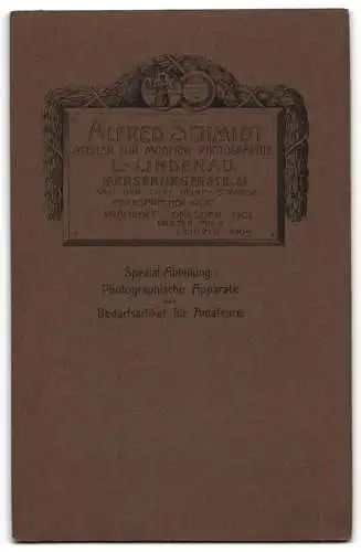 Fotografie Alfred Schmidt, Leipzig-Lindenau, Merseburgerstr. 31, Junge Dame mit zeitgenössischer Frisur