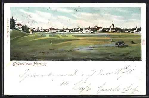 AK Planegg, Totalansicht