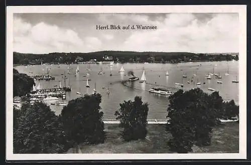 AK Berlin-Wannsee, Herrlicher Blick auf den Wannsee, Segelboote, Dampfer