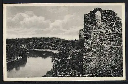 AK Halle /Saale, Blick von der Ruine Giebichenstein