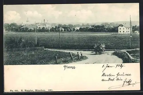 AK Planegg, Ortsansicht mit Landstrasse