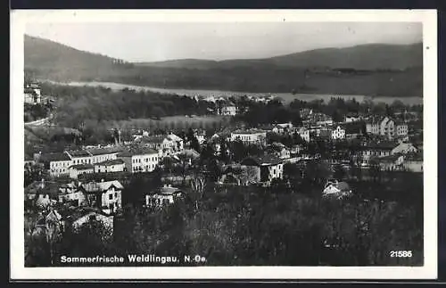 AK Wien, Weidlingau, Ortsansicht mit Wasser- und Bergblick