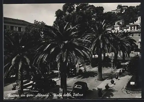 AK Alassio /Riviera dei Fiori, Viale delle Palme