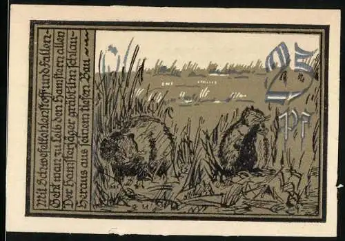 Notgeld Aschersleben, 1921, 25 Pf, zwei Biber in der Natur, Gültigkeit bis März 1922