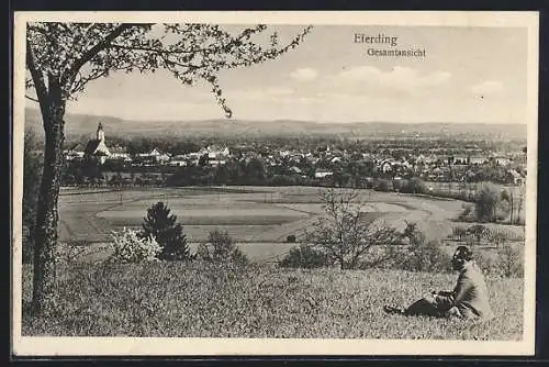 AK Eferding, Panoramablick von der Bergwiese