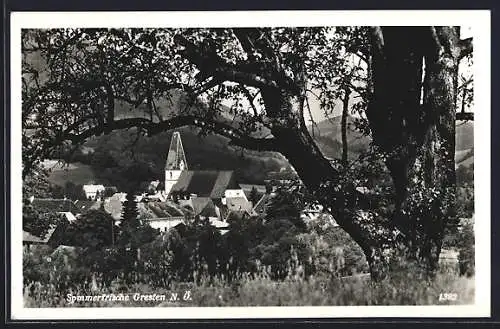 AK Gresten /N. Ö., Teilansicht mit Kirche