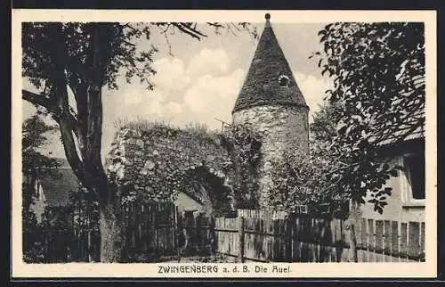 AK Zwingenberg a. d. B., Die Auel