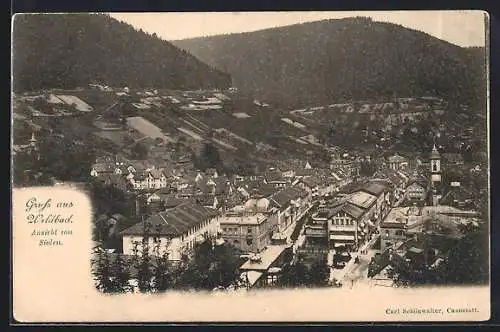 AK Wildbad / Schwarzwald, Ortsansicht von Süden