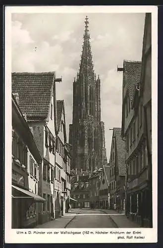 AK Ulm a. Donau, Strassenblick in die Walfischgasse mit Münster