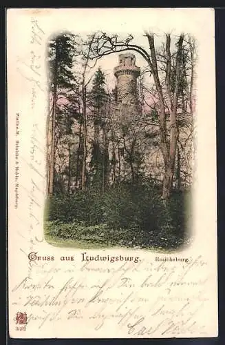 AK Ludwigsburg / Württemberg, Die Emichsburg