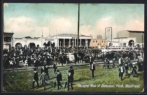 AK Montreal, Dominion Park, General View