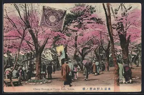 AK Tokyo, Cherry Blossoms at Uyeno Park