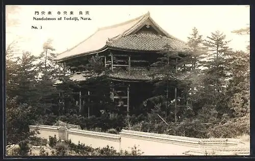 AK Nara, Nandaimon of Todaiji