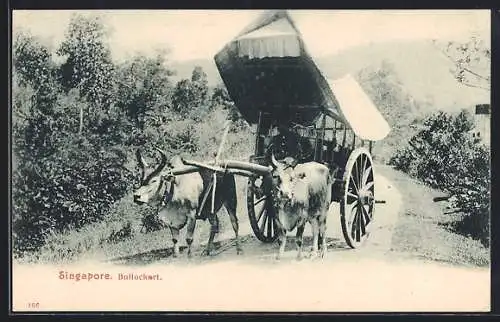 AK Singapore, Bullockart