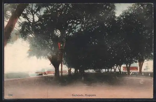 AK Singapore, Esplanade