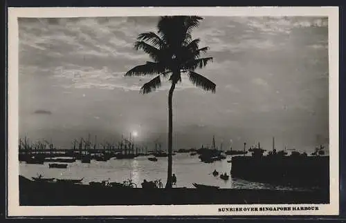 AK Singapore, Sunrise over Harbour